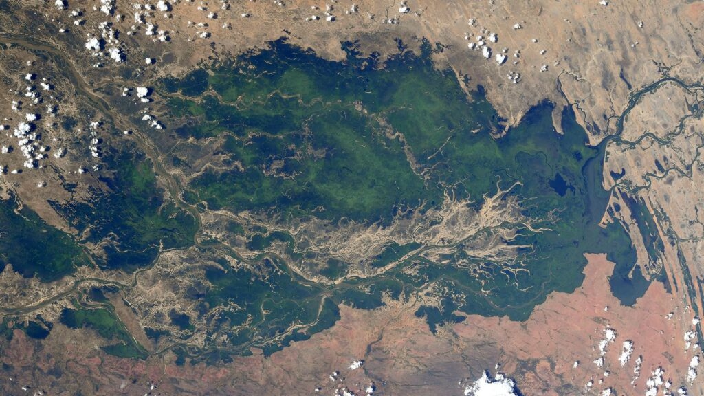 A_speck_of_green_niger_delta_esa_16x9