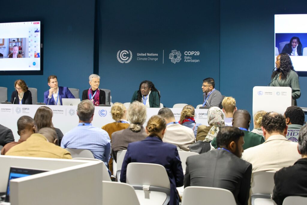 IISD-ENB-Anastasia-Rodopoulou_COP29_Side-Events-11Nov2024-Photo-13-scaled-1