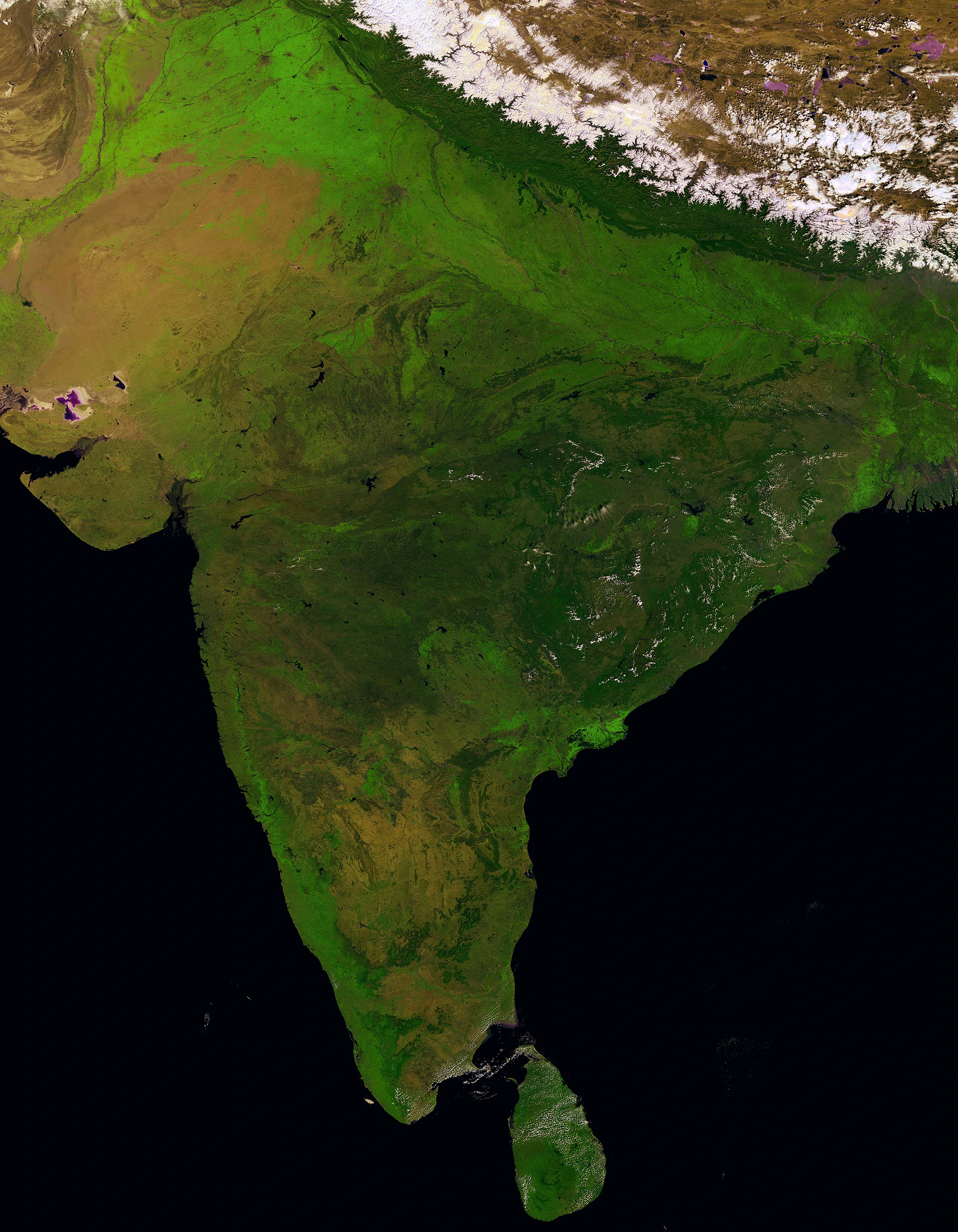 india-banner-image