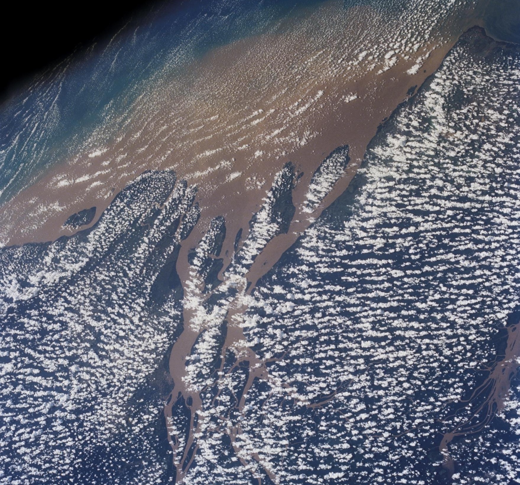 Amazon_NASA_Simoes Reboita4