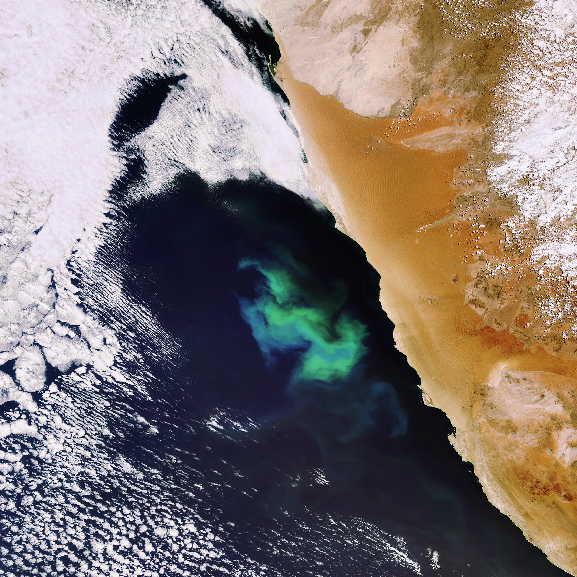 Plankton_bloom_Namibia_ESA_Lennard5