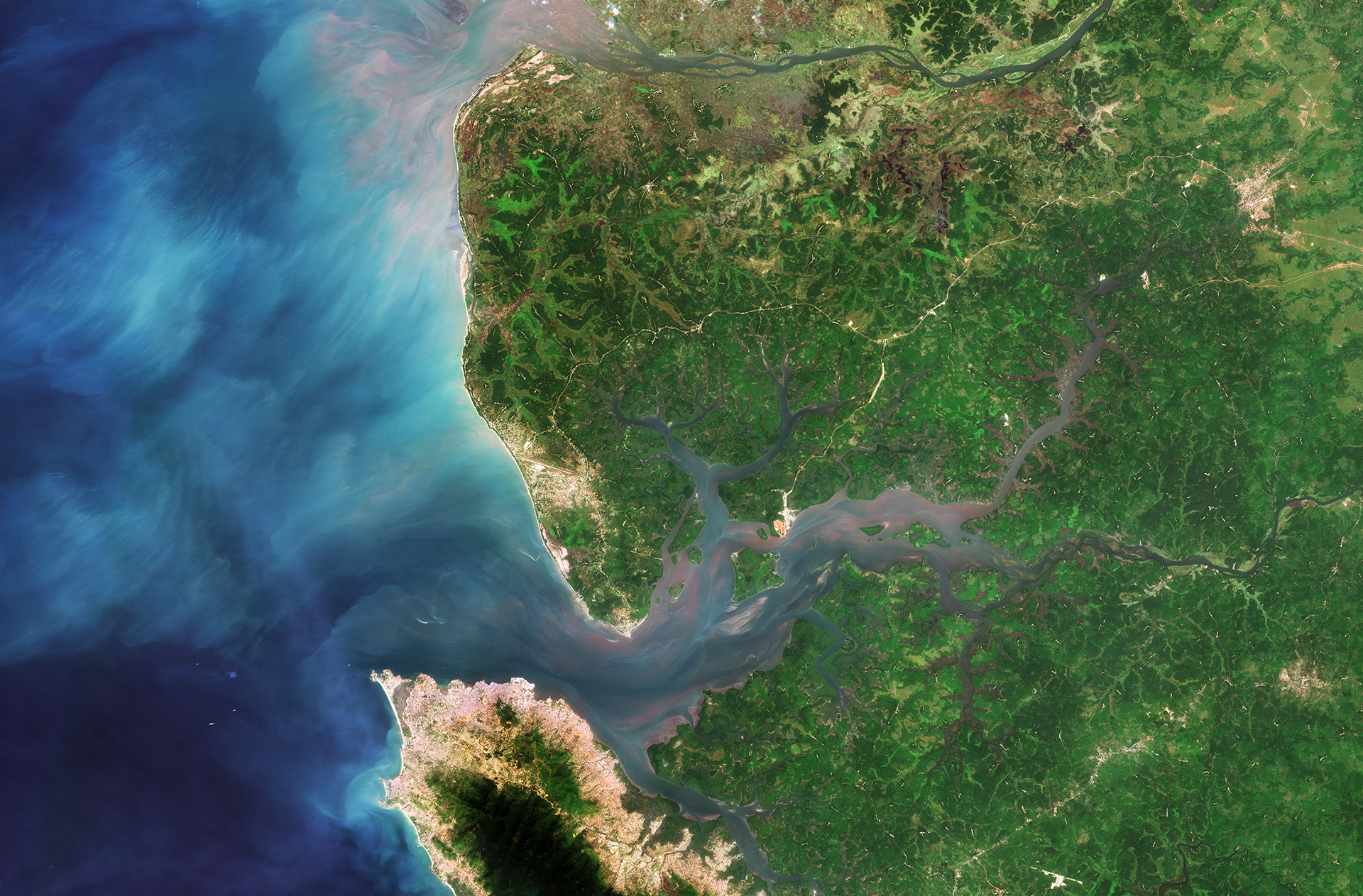 Sierra_Leone_River_Estuary_West Africa_ESA_Da-Allada4