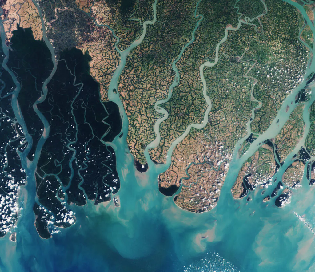 Sundarbans_ESA_.Rahman1jpg