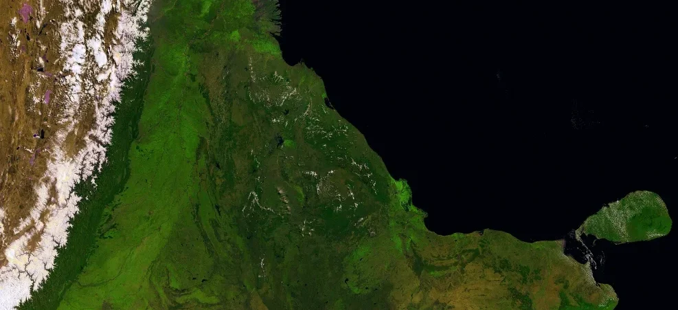 india-banner-image-768x987_Bala